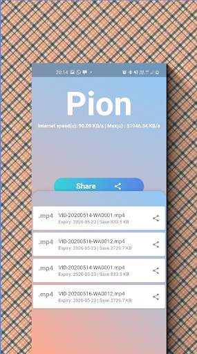 Pion Web Share photo, video, audio, pdf screenshot 5