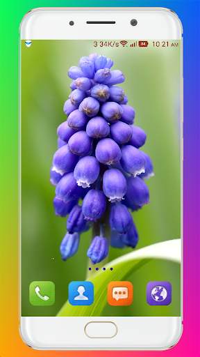 Flower Wallpaper HD screenshot 2