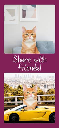 Cat Photo Editor screenshot 2