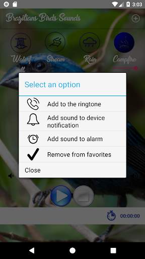 Brazilian's birds sounds screenshot 3
