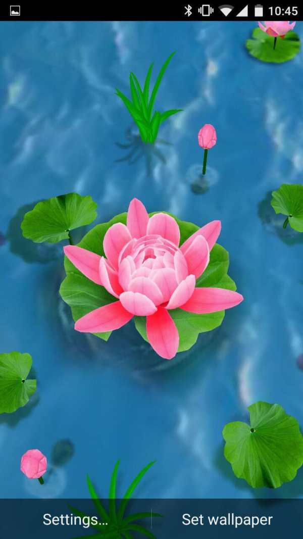Flower Live Wallpaper 3D screenshot 3