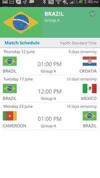 Football World - 2014 screenshot 4