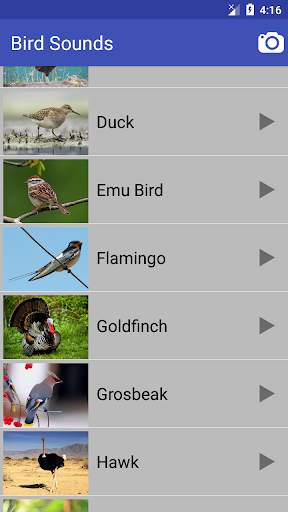 Bird Sounds स्क्रीनशॉट 3