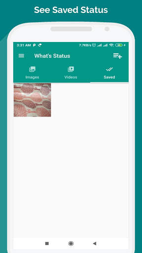 What's Status - Save Status send message(No Ads) screenshot 2