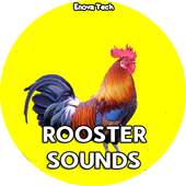 Rooster Sounds 1.0