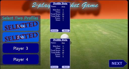 2 Player Cricket Game - CASUAL screenshot 2