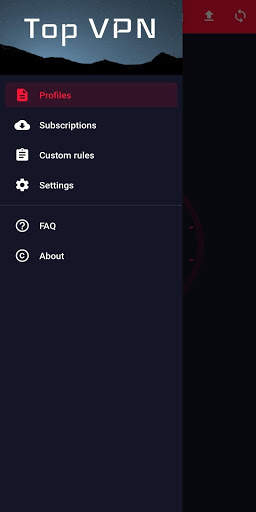 Top VPN screenshot 3
