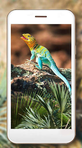 Lizards Live Wallpaper screenshot 2