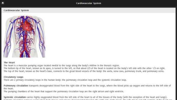 Human Body screenshot 4