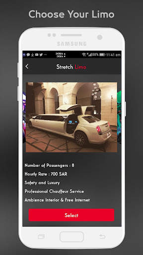 Master Limo screenshot 3
