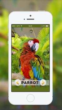 Animal & Birds Sound for kids screenshot 2