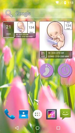 Pregnancy Calendar screenshot 1