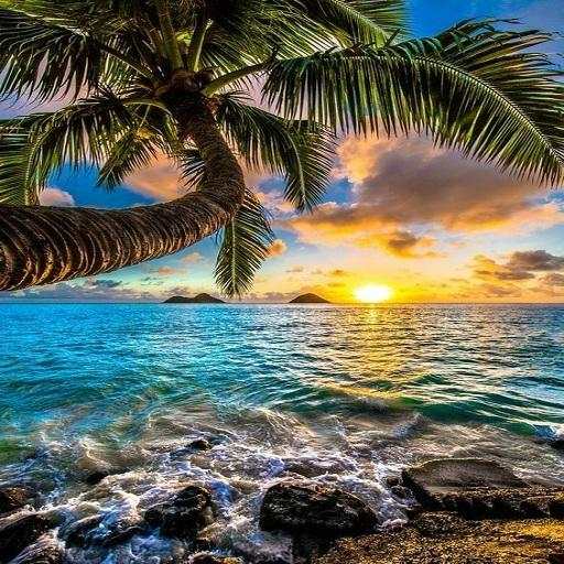 Beach Wallpaper 1.1