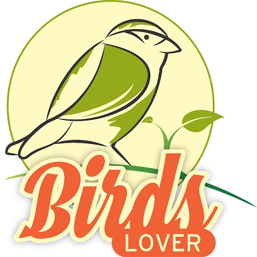 Birds Lover - Birds and Parrots Sale Purchase icon