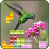 Tetrice for the Birds 1.0