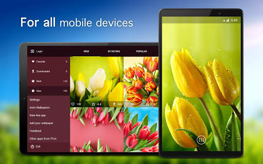 Tulip Wallpapers PRO screenshot 5