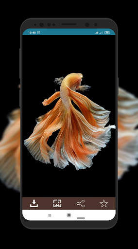 Wallpaper Ikan Cupang screenshot 6