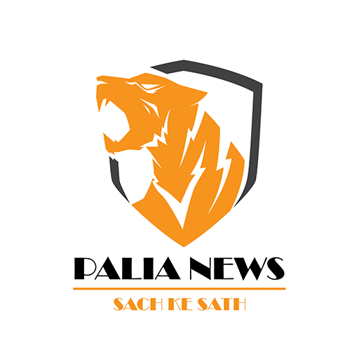 Palia News: News App icon