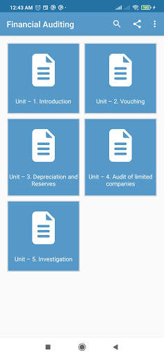 Financial Auditing screenshot 1