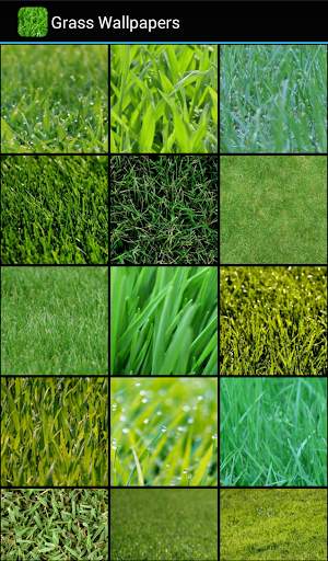 Grass Wallpapers 1 تصوير الشاشة