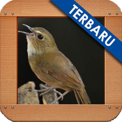 Burung Jongkangan Ngekek Gacor screenshot 1