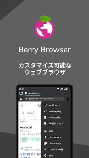 Berry Browser screenshot 1