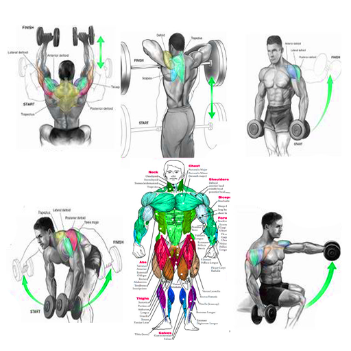 Bodybuilding Fitness Exercises icon