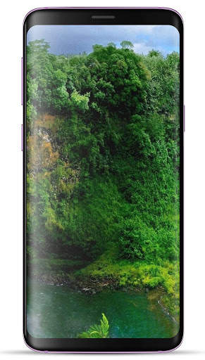 Forest Wallpaper HD screenshot 16