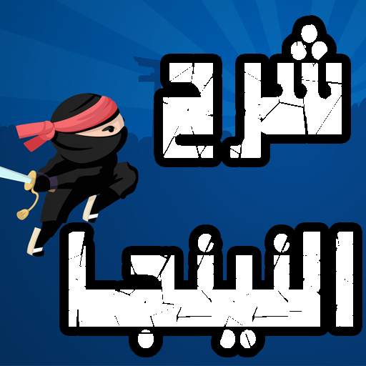 Explain the ninja 1.0