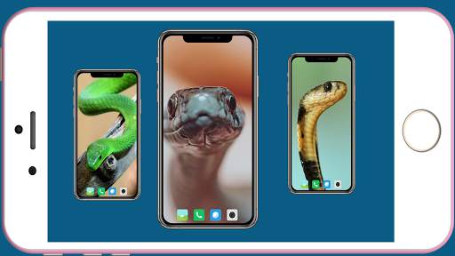 Snake Wallpaper screenshot 1