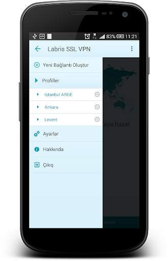 Labris SSL VPN screenshot 6