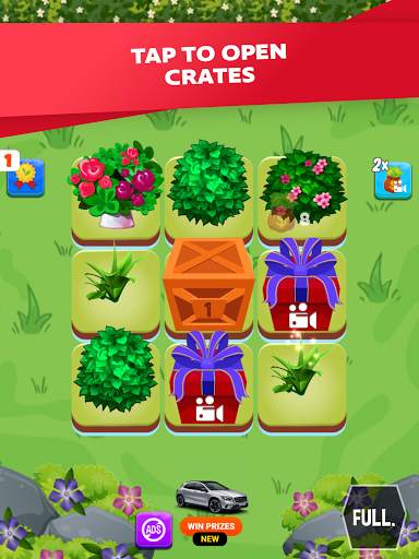 Orchid Growth screenshot 5