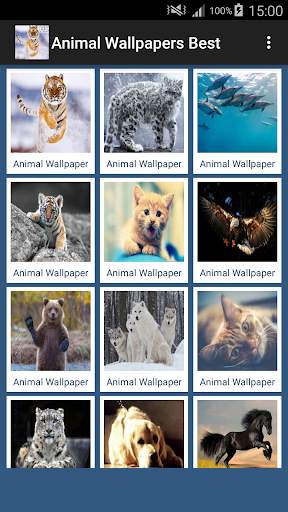 Animal Wallpapers App 🐈🐅🐎 : Animal Background screenshot 1