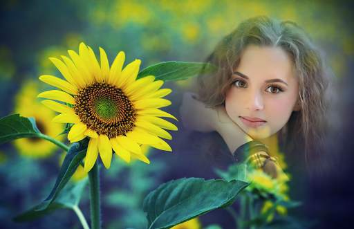 Sunflower Photo Frames screenshot 2