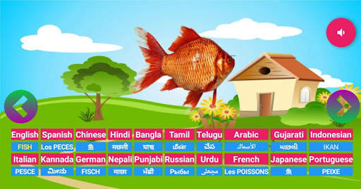 Learning Animals Fruits Vegetables Birds Meaning screenshot 3