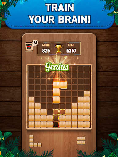 Wooden 100 Block Puzzle Game screenshot 8