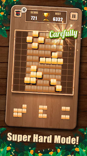 Wooden 100 Block Puzzle screenshot 4