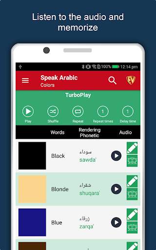 Speak Arabic : Learn Arabic Language Offline screenshot 10