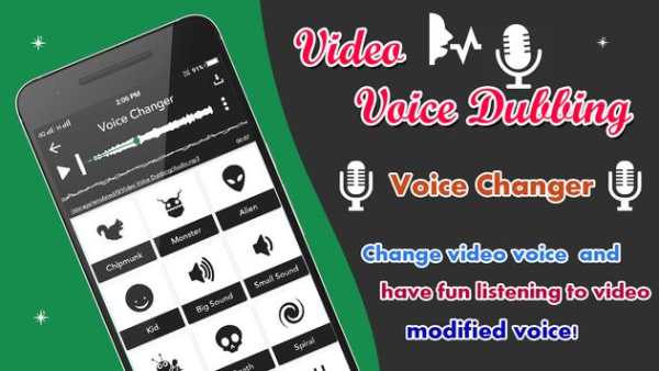 Video Vioce Dubbing screenshot 2