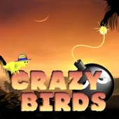 Shoot The Birds 1.1