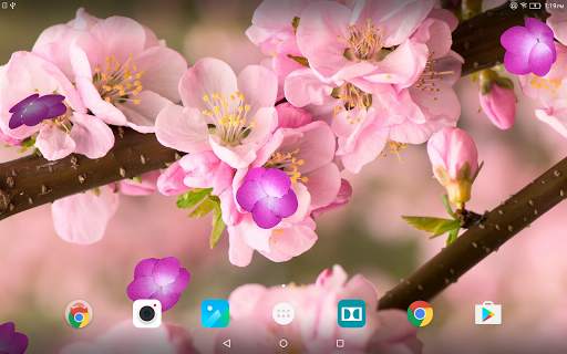 Cherry Blossom Live Wallpaper screenshot 8