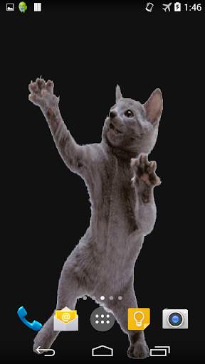Dancing Cat Live Wallpaper screenshot 3