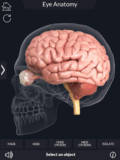 My Eye Anatomy screenshot 4