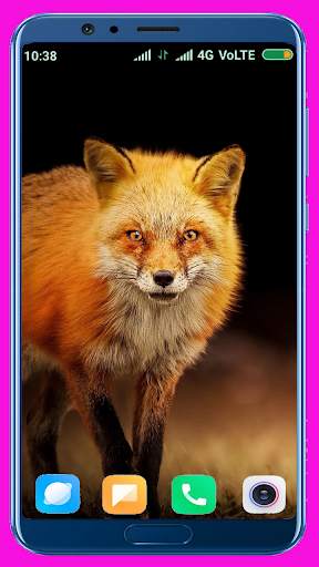 Fox Wallpaper Best 4K screenshot 8