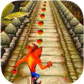 Temple Crash Jungle Run Bandicot 1.0