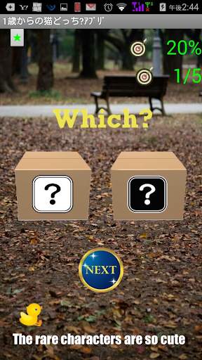 Cat App from One Year-Olds 1【for young children】 screenshot 4