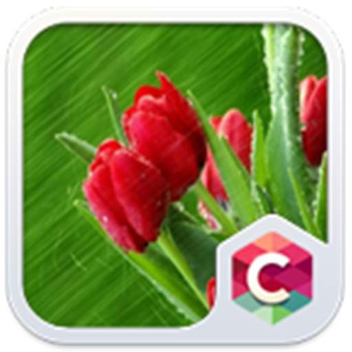 Best Rose Theme HD 4.8.8