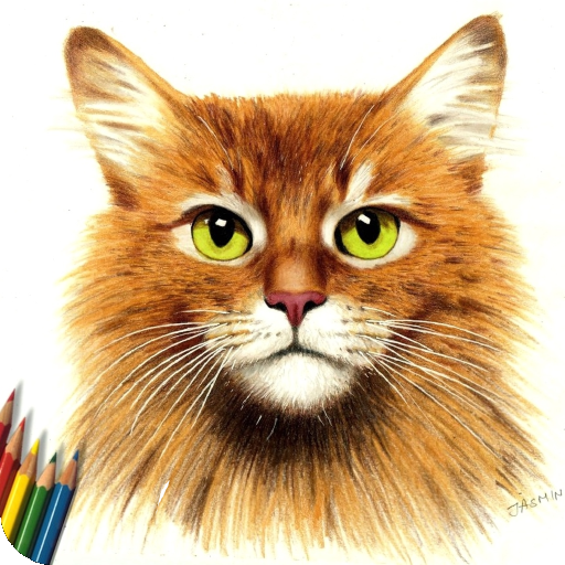How to Draw a Cat icon