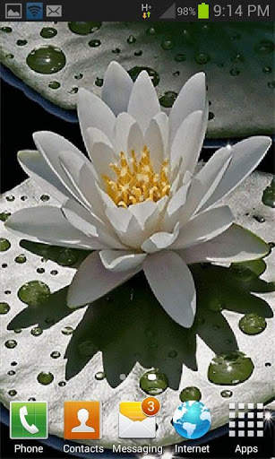 Beautiful Lotus Live Wallpaper screenshot 3