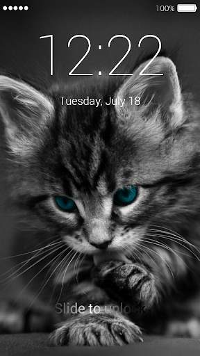 Kitten Lock Screen 6 تصوير الشاشة